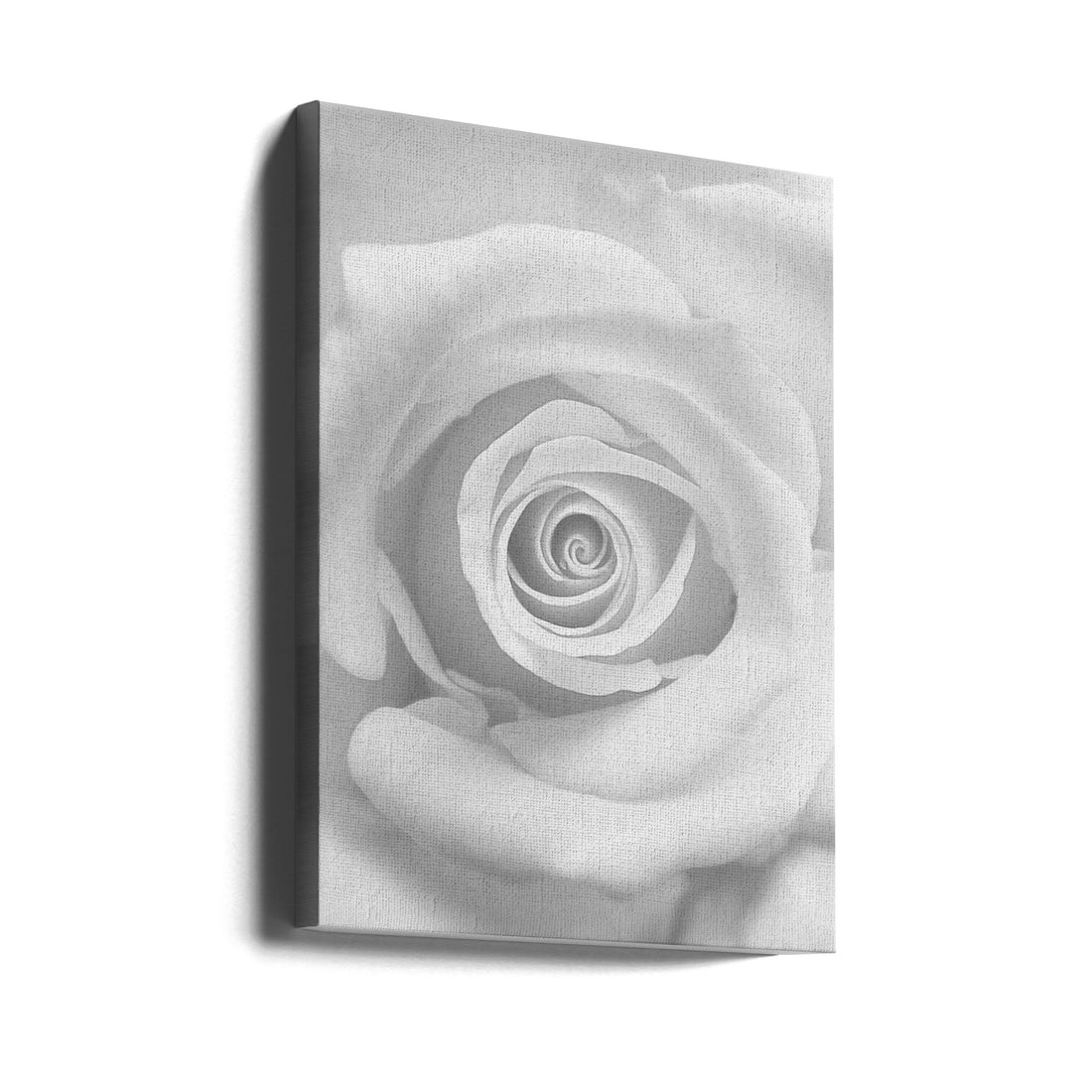 The Rose by Kahar Lagaa | White Floral Botanical, Large Canvas Wall Art Print | Artsy Earth