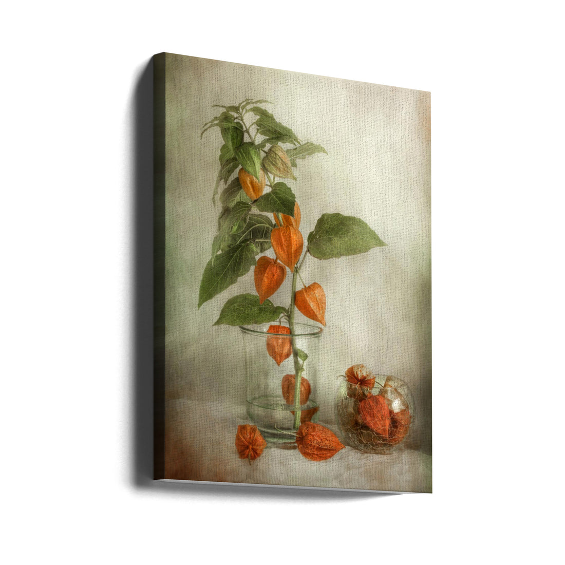 Chinese Lanterns by Mandy Disher | Botanical Fall Flora, Large Canvas Wall Art Print | Artsy Earth