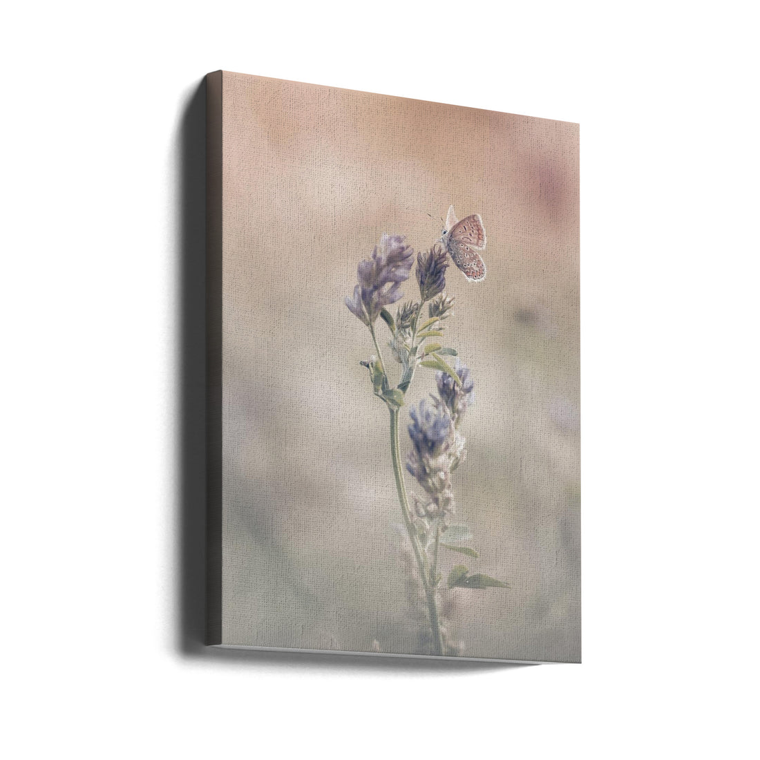 Sweet world by Sam Bastien | Pastel Butterfly Meadow, Large Canvas Wall Art Print | Artsy Earth