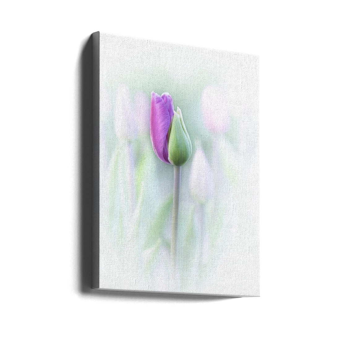 Pink Tulip Closeup by Lydia Jacobs | Floral Botanical Macro, Large Canvas Wall Art Print | Artsy Earth