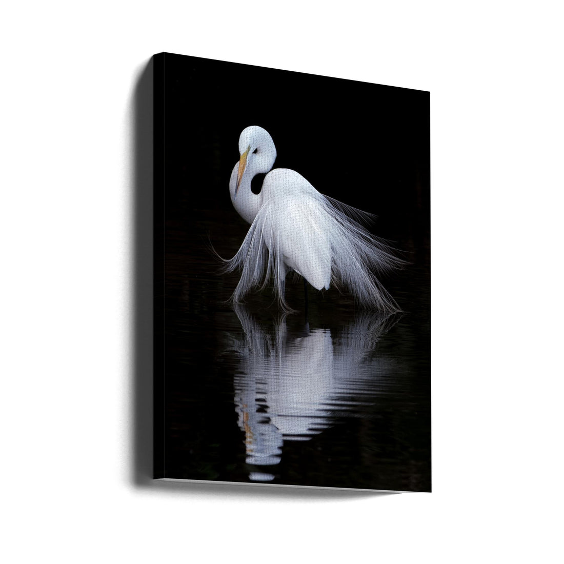 Peaceful Heron by Ben Li | Graceful White Heron, Large Canvas Wall Art Print | Artsy Earth