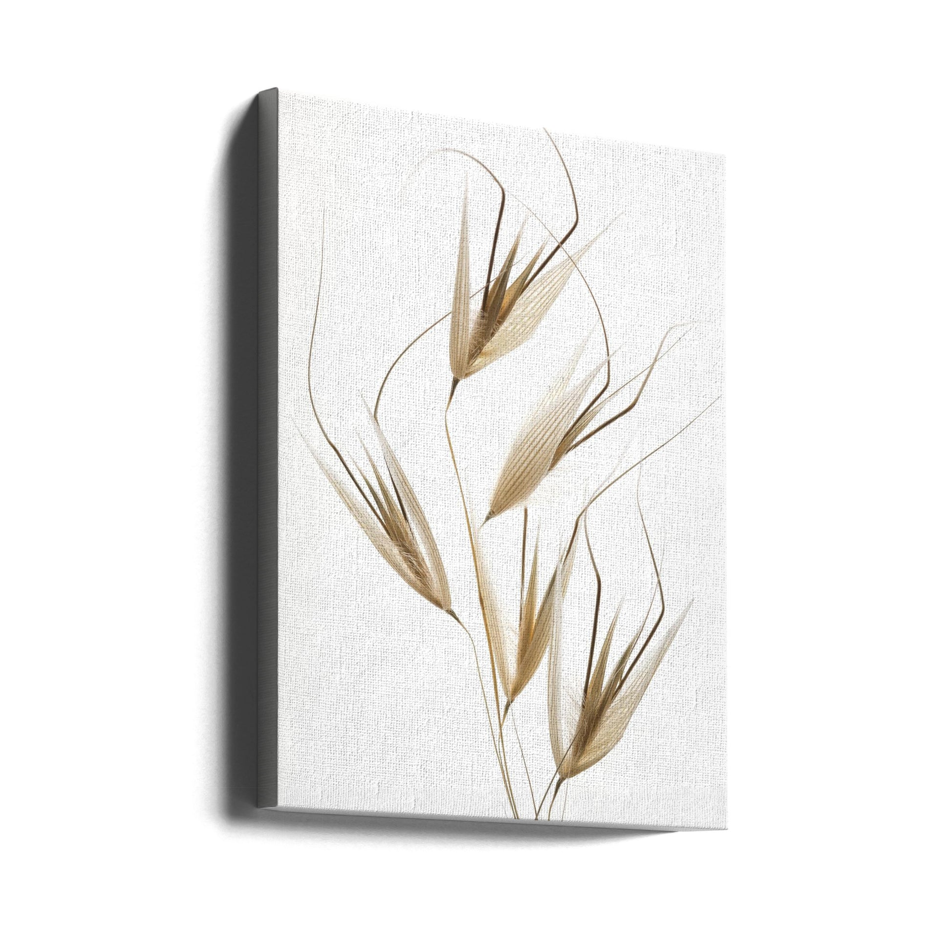 Delicacy of Nature by Thierry Lagandré (transgressed Light) | Minimal Zen Stillness, Large Canvas Wall Art Print | Artsy Earth