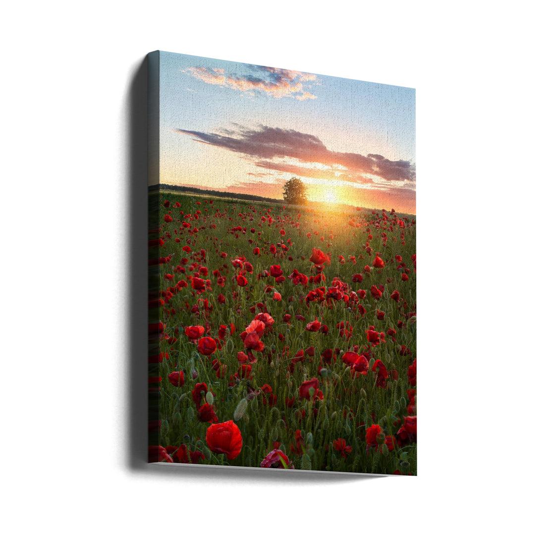 Poppy Fields of Sweden by Christian Lindsten | Rural Landscape Romance, Large Canvas Wall Art Print | Artsy Earth