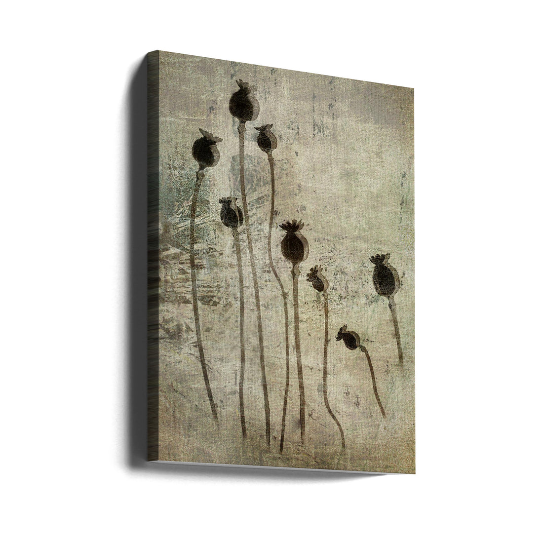 Poppy Seedlings by Nel Talen | Botanical Flora Texture, Large Canvas Wall Art Print | Artsy Earth