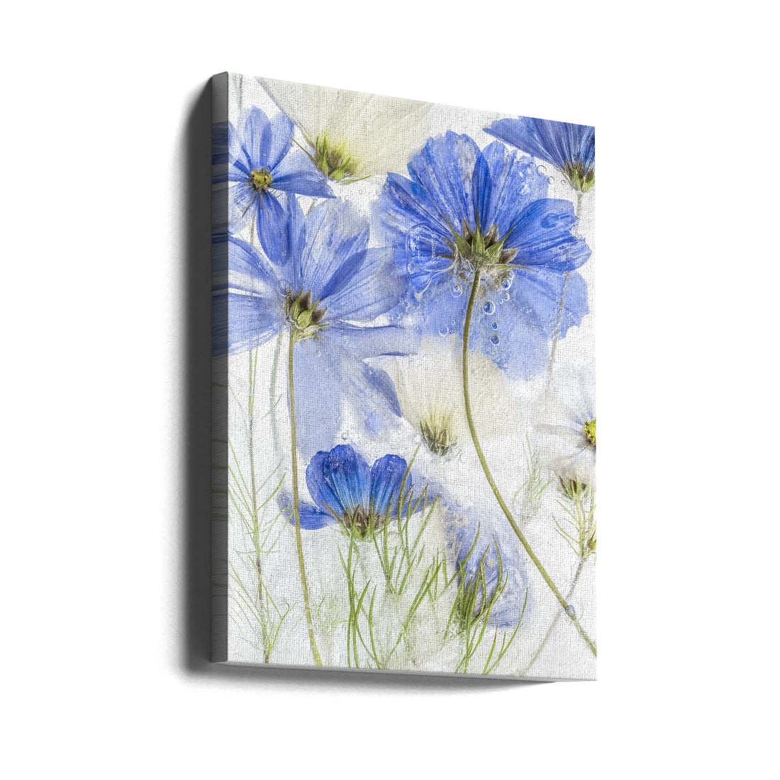 Cosmos Blue by Mandy Disher | Frozen Floral Botanical, Large Canvas Wall Art Print | Artsy Earth