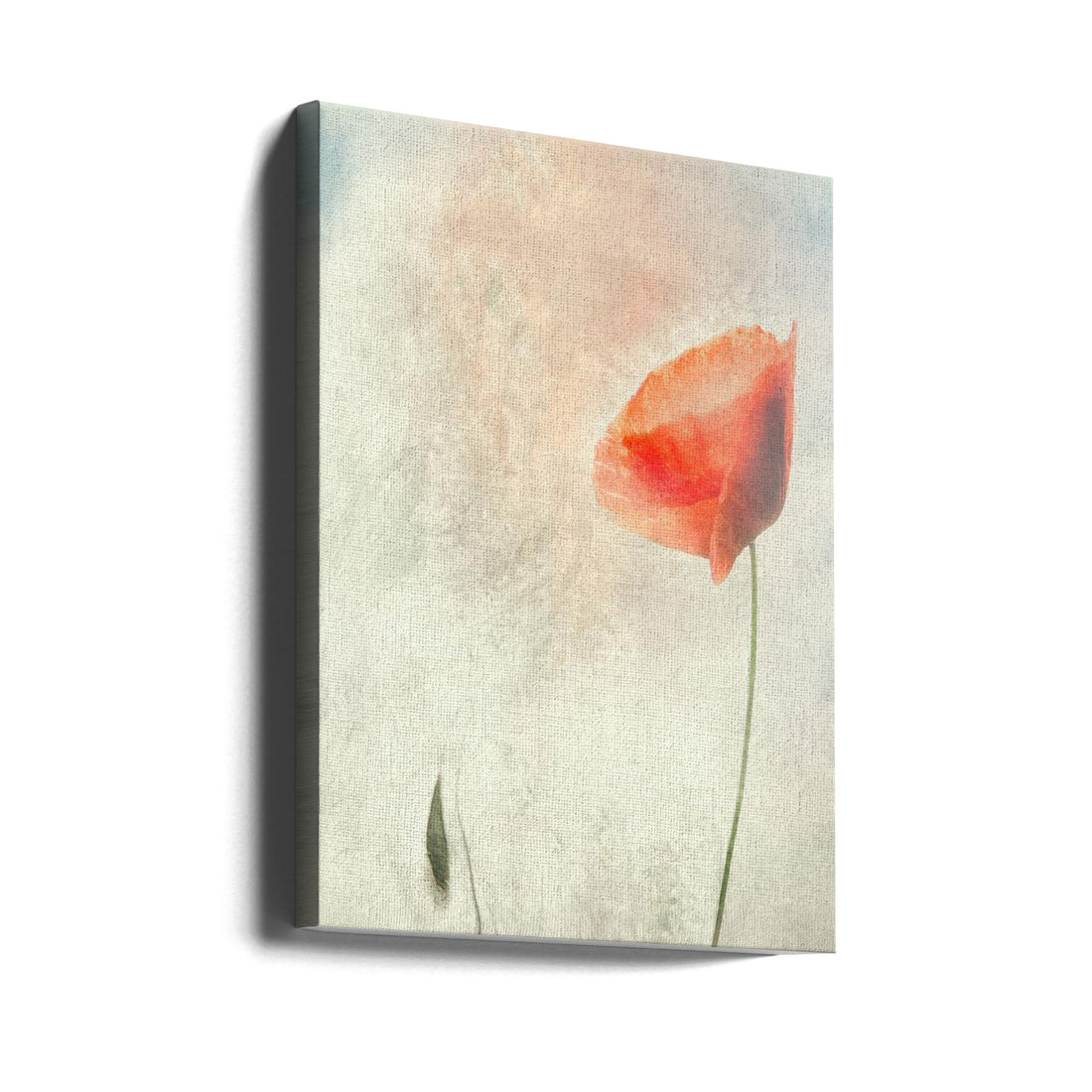 We should not sleep by Gilbert Claes | Romantic Flanders Poppies, Large Canvas Wall Art Print | Artsy Earth