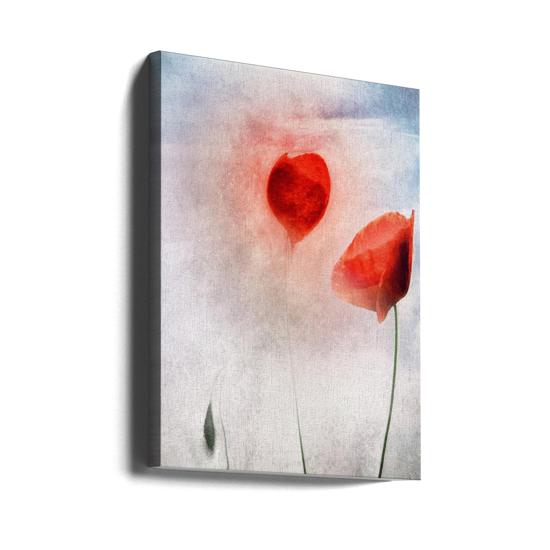 In Flanders Fields by Gilbert Claes | Romantic Floral Watercolor, Large Canvas Wall Art Print | Artsy Earth