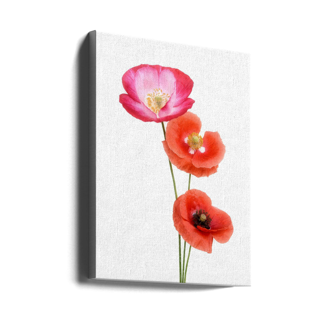 Colourful Poppies by Lotte Grønkjær | Floral Still Life, Large Canvas Wall Art Print | Artsy Earth