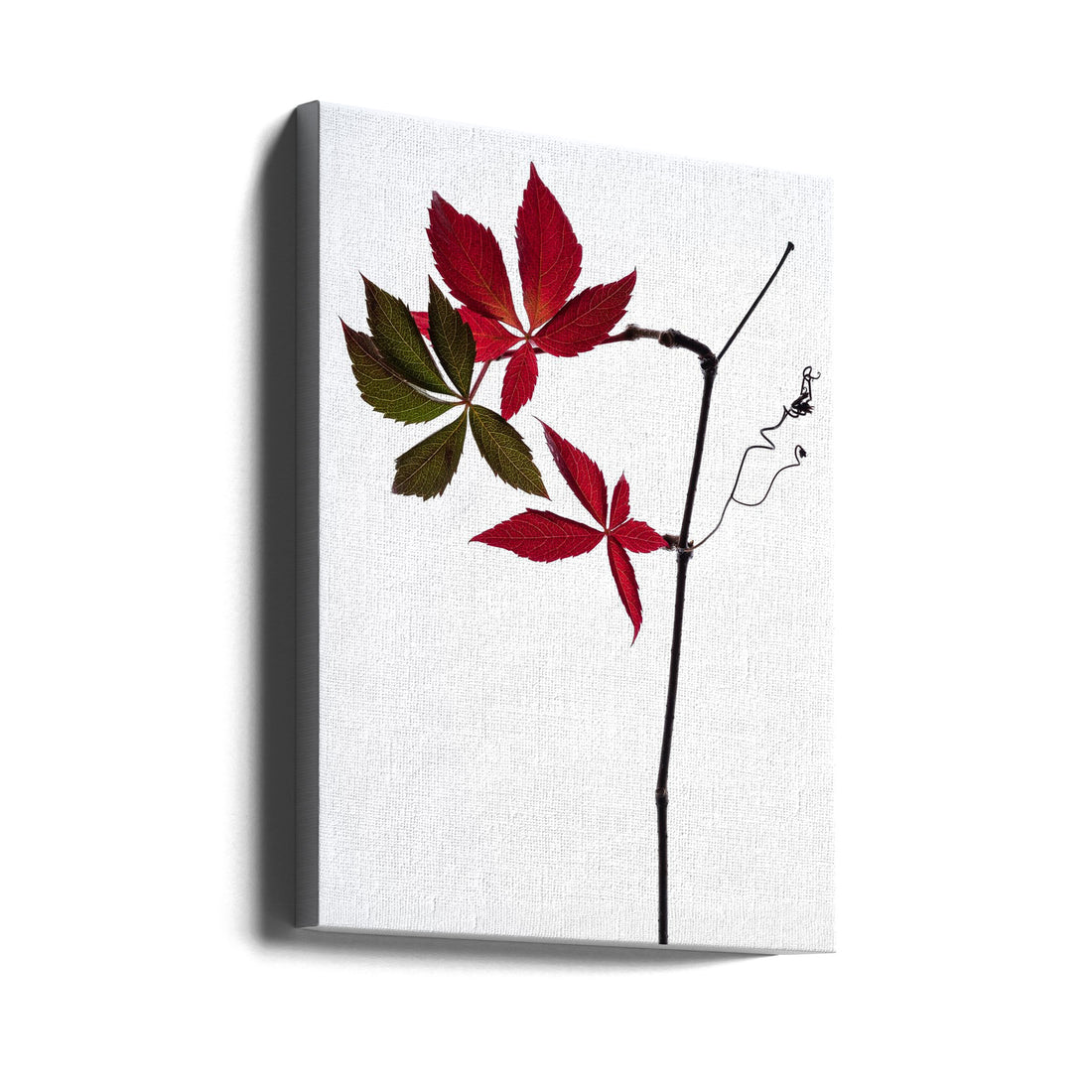 Simple Botanical Art by Thierry Lagandré (transgressed Light) | Minimalist Red Leaf, Large Canvas Wall Art Print | Artsy Earth