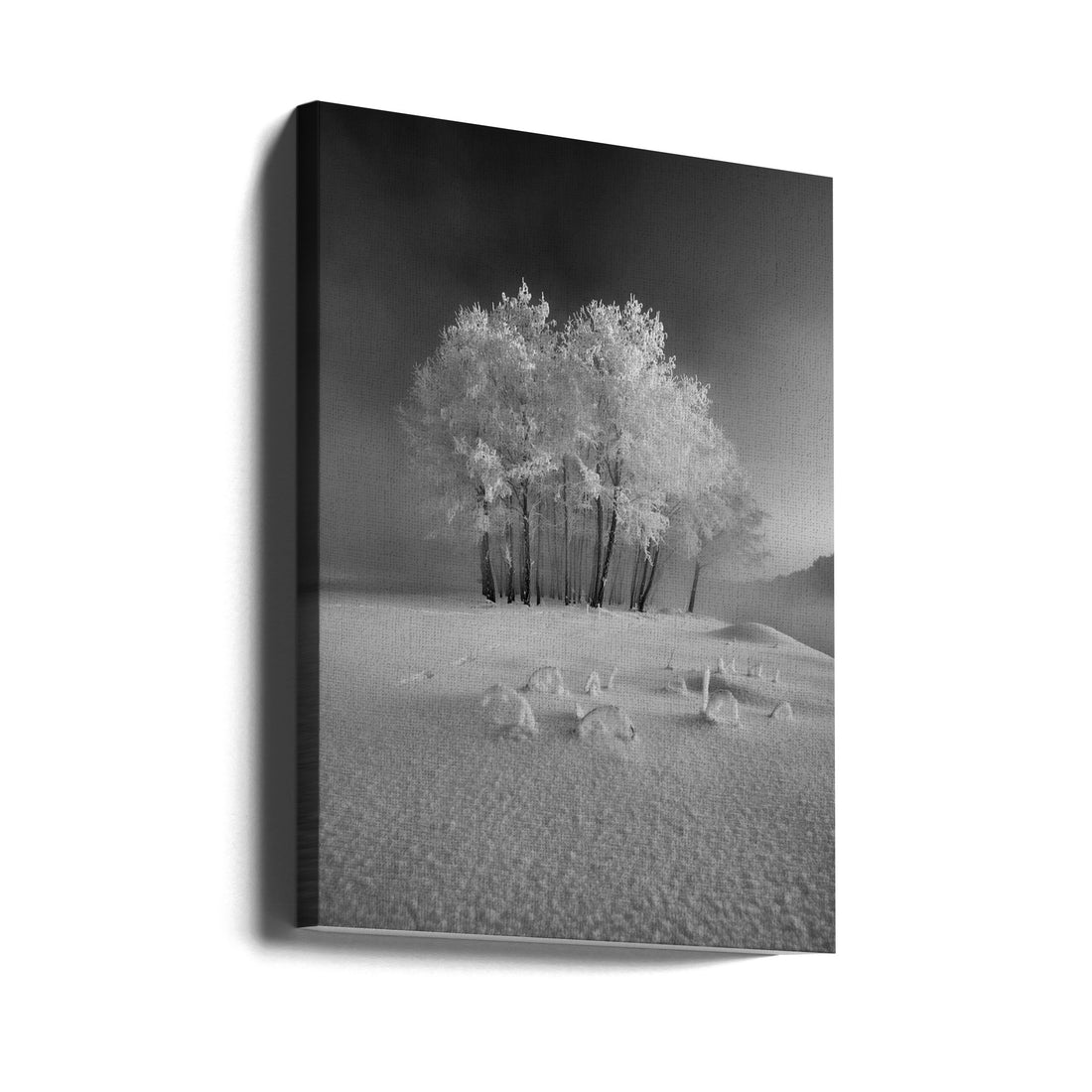 First Snow in Poland by Krzysztof Mierzejewski | Winter Landscape, Large Canvas Wall Art Print | Artsy Earth