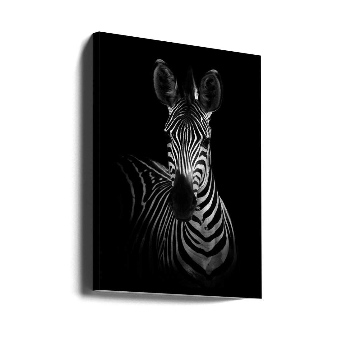 African Zebra by Wildphotoart | Wildlife Safari Animal, Large Canvas Wall Art Print | Artsy Earth