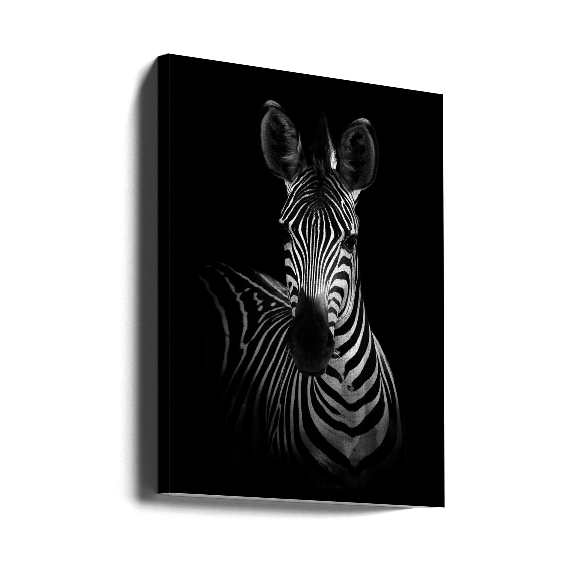 African Zebra by Wildphotoart | Wildlife Safari Animal, Large Canvas Wall Art Print | Artsy Earth