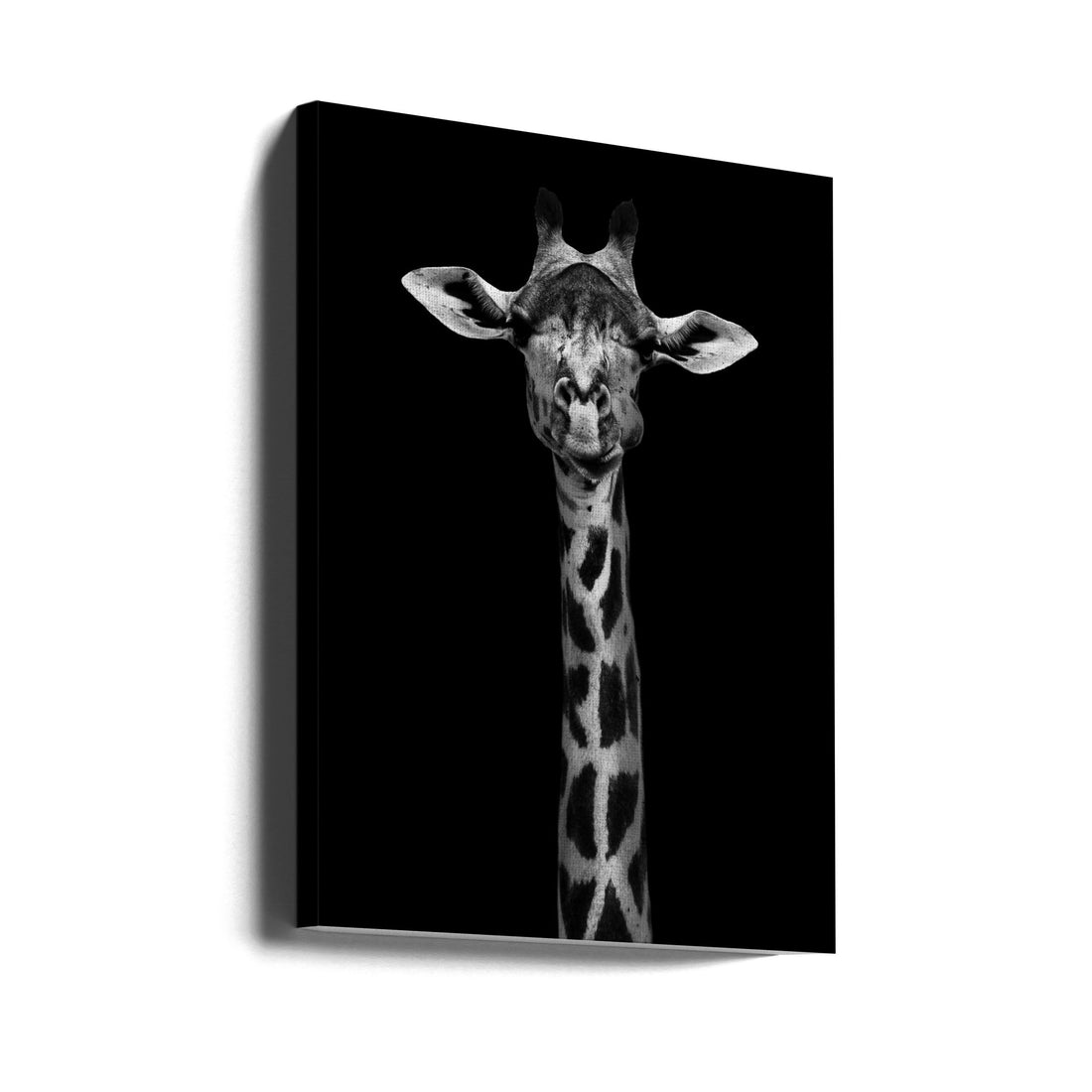 Giraffe Portrait by Wildphotoart | Wildlife Animal Portrait, Large Canvas Wall Art Print | Artsy Earth