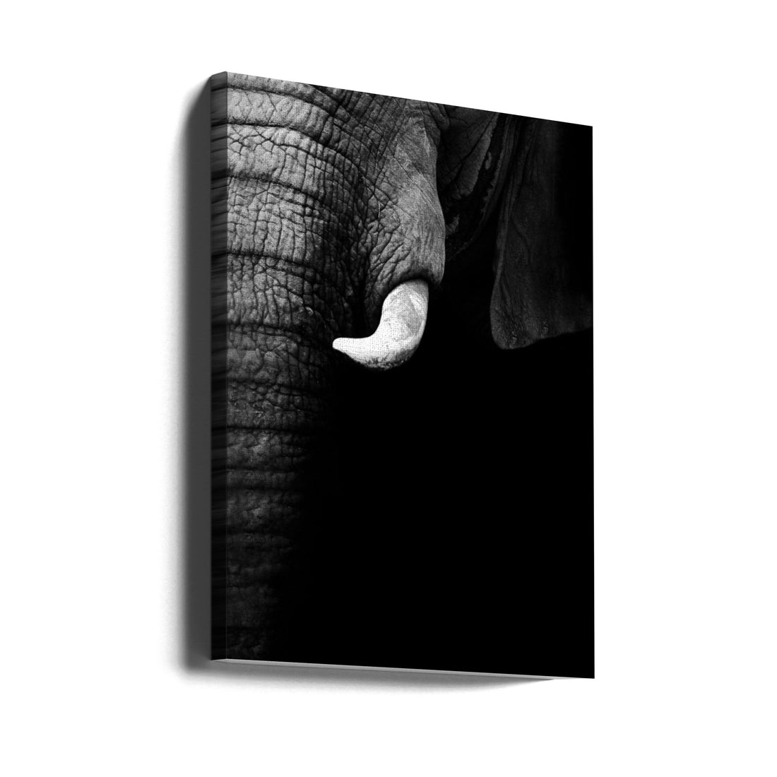 Elephant Portrait by Wildphotoart | Wildlife Safari Photography, Large Canvas Wall Art Print | Artsy Earth