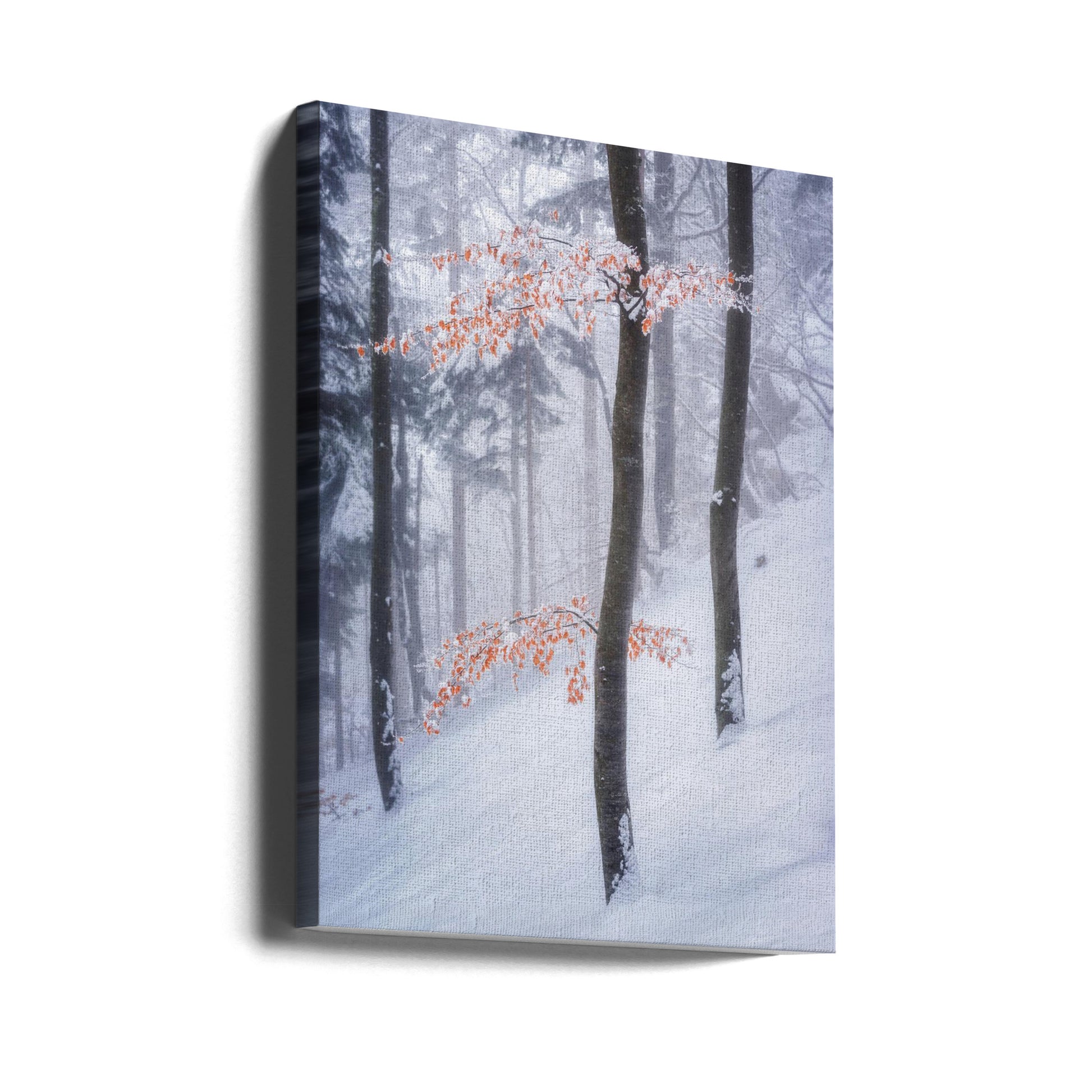 Winter Forest Scene by Ales Krivec | Snowy Landscape, Large Canvas Wall Art Print | Artsy Earth