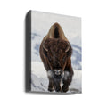 Bison Incoming by Peter Hudson | Wild Winter Wildlife, Large Canvas Wall Art Print | Artsy Earth