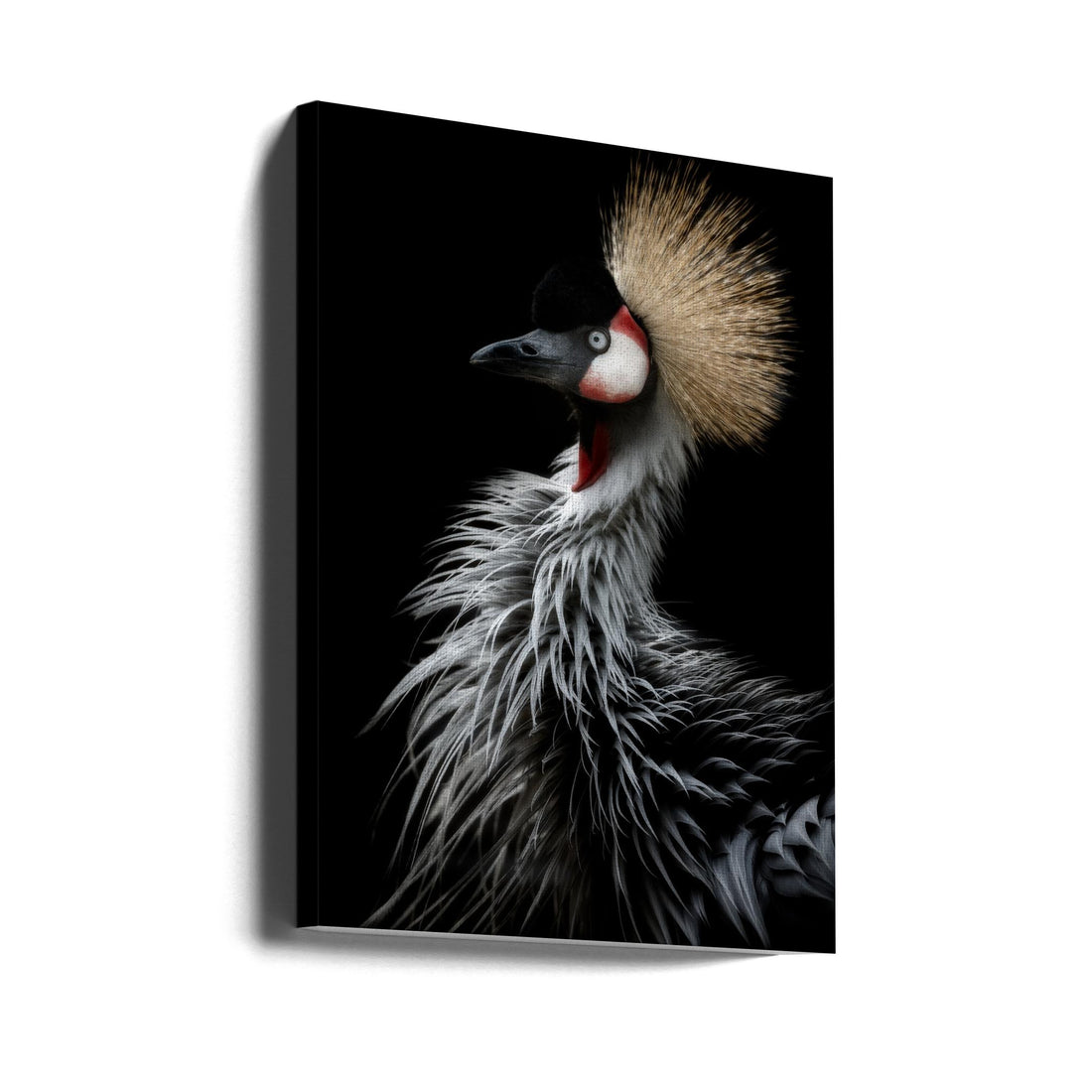 Crowned crane's portrait by Eiji Itoyama | Minimalist Bird Portrait, Large Canvas Wall Art Print | Artsy Earth