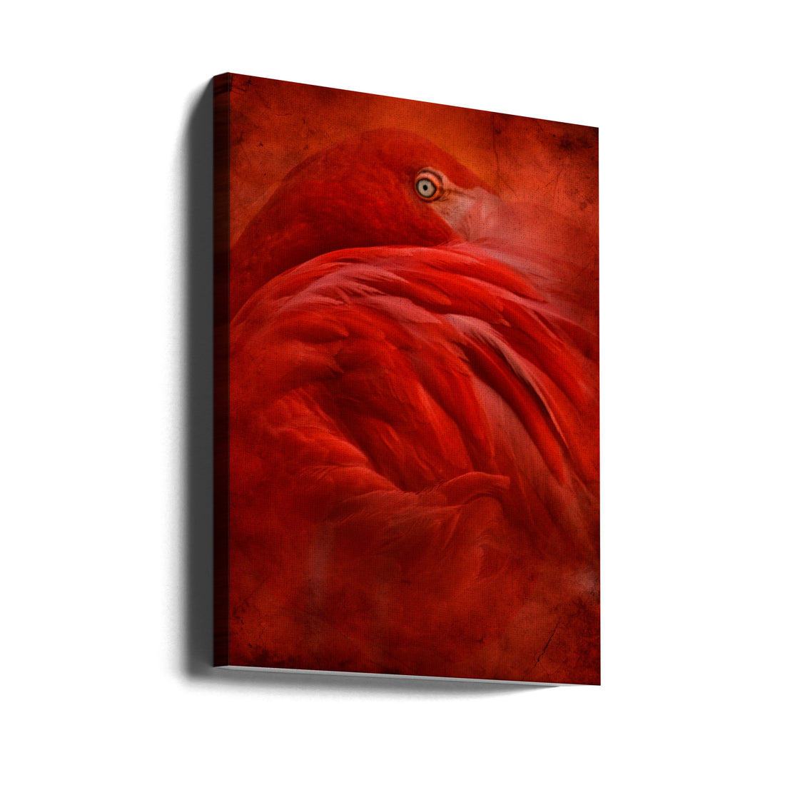 Tropical Flamingo by Jeffrey Hummel | Pink Graceful Birds, Large Canvas Wall Art Print | Artsy Earth