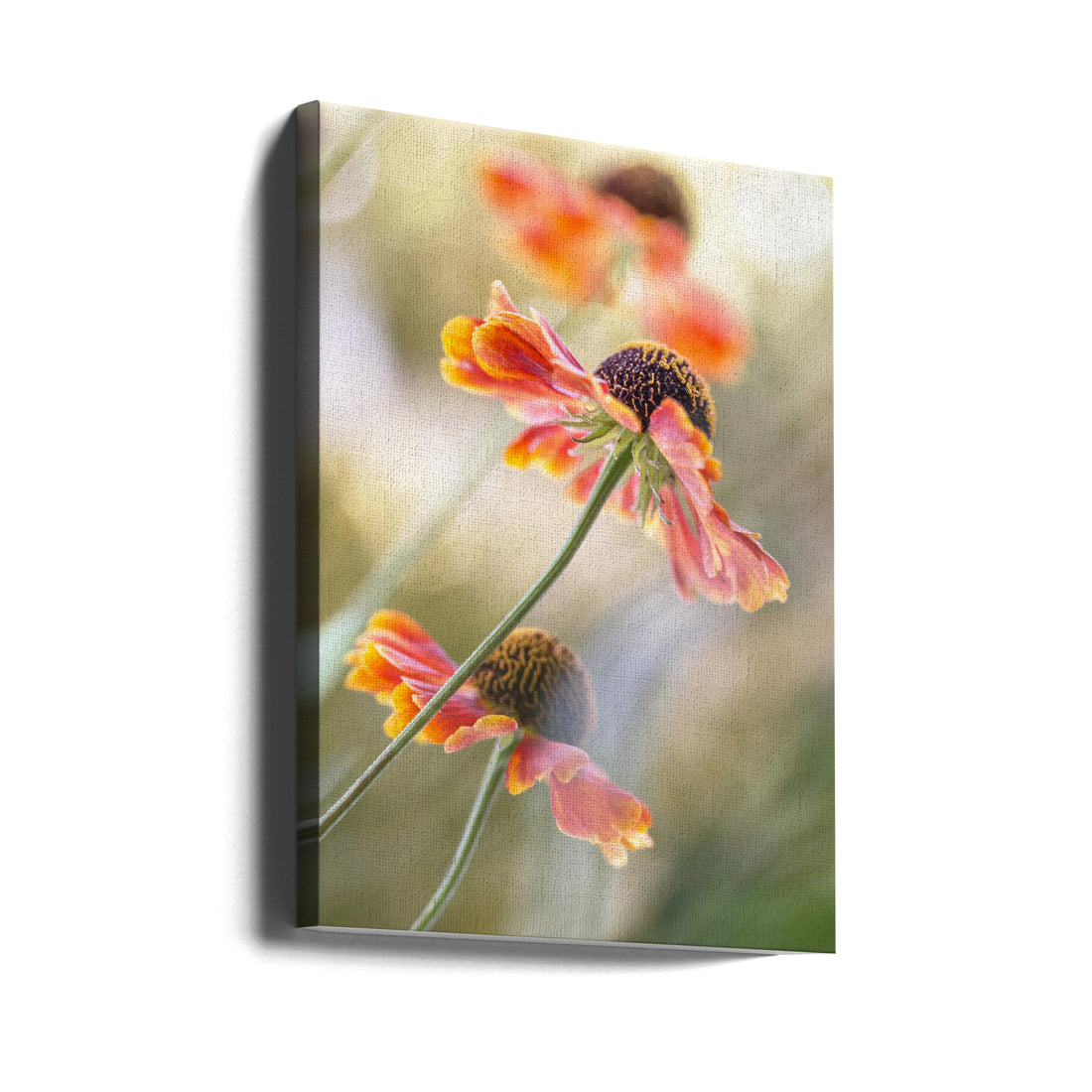 Orange Helenium Flowers by Mandy Disher | Floral Garden Macro, Large Canvas Wall Art Print | Artsy Earth