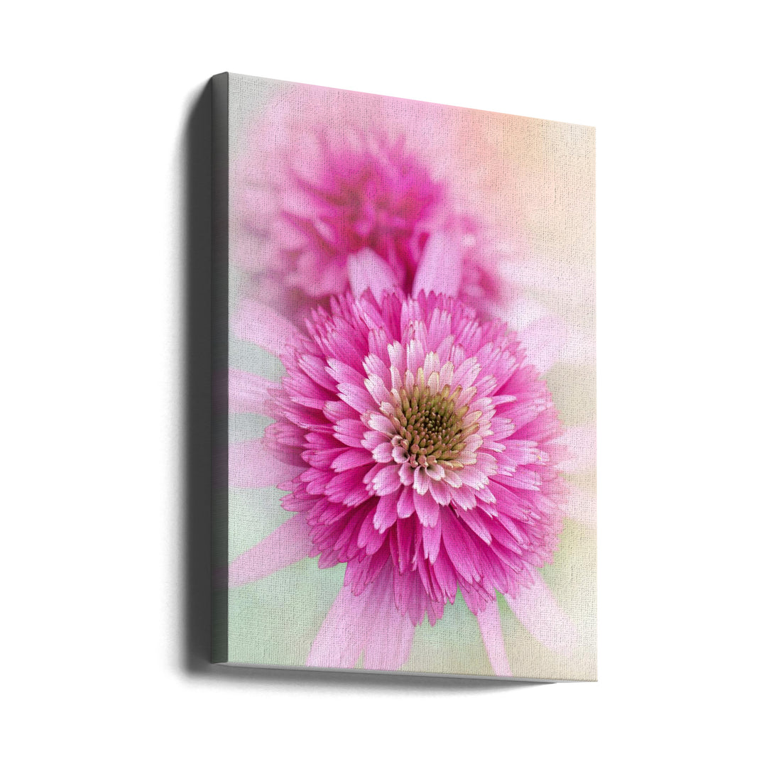 Summer Spirit by Jacky Parker | Fresh Floral Bloom, Large Canvas Wall Art Print | Artsy Earth