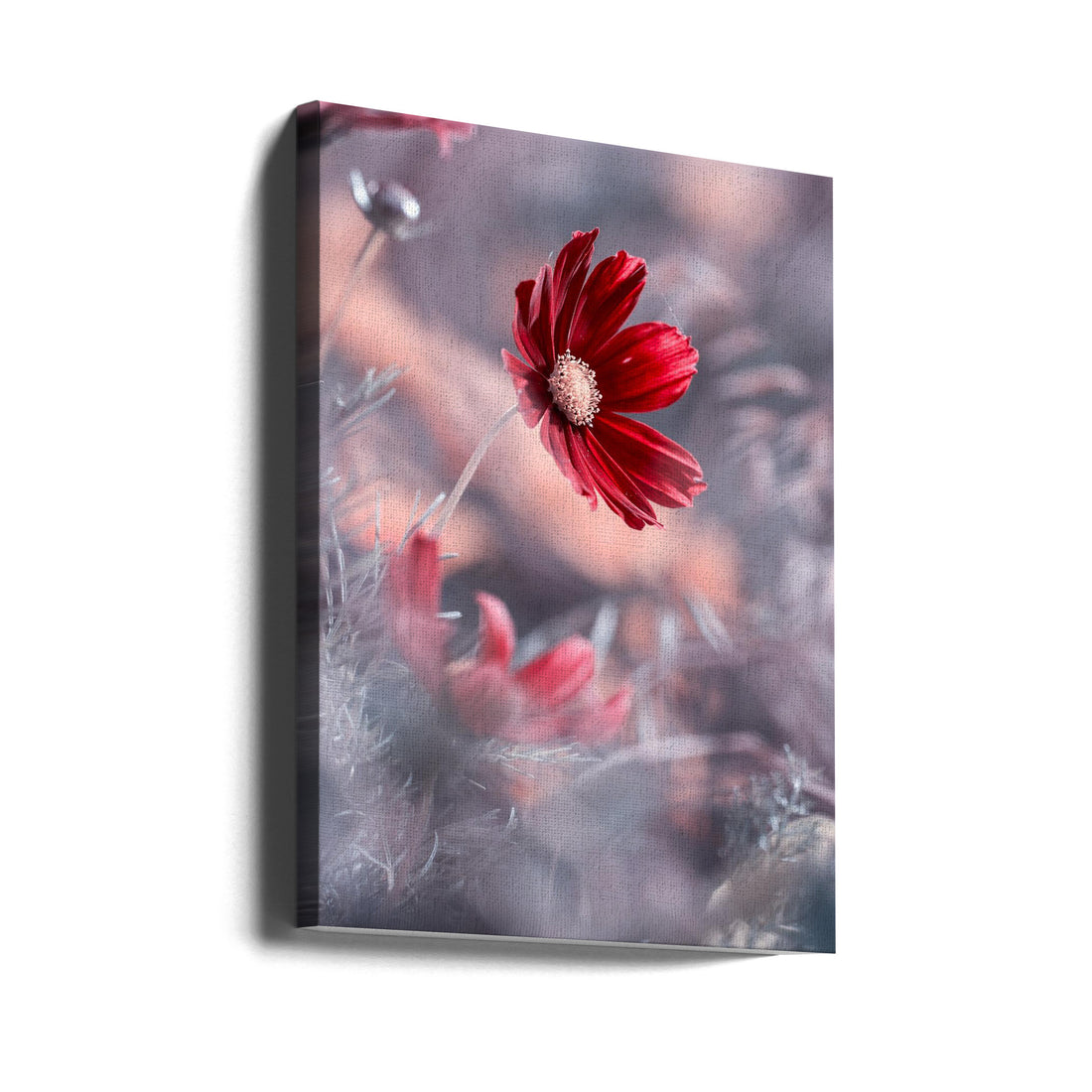 Red Rose Romance by Fabien Bravin | Floral Bokeh Love, Large Canvas Wall Art Print | Artsy Earth