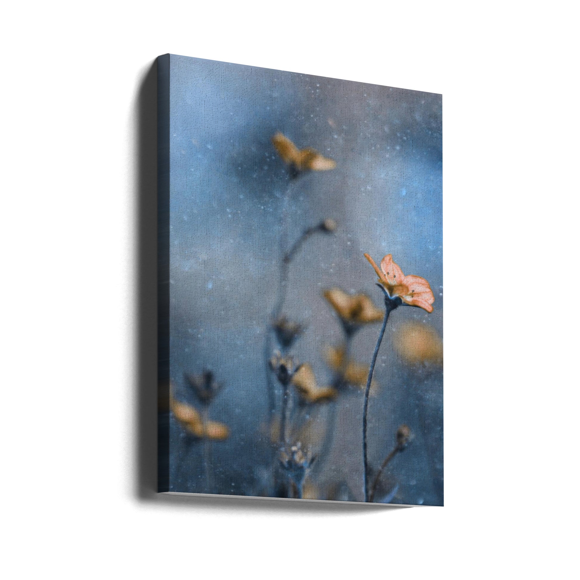 Blue Winter by Delphine Devos | Floral Macro Closeup, Large Canvas Wall Art Print | Artsy Earth