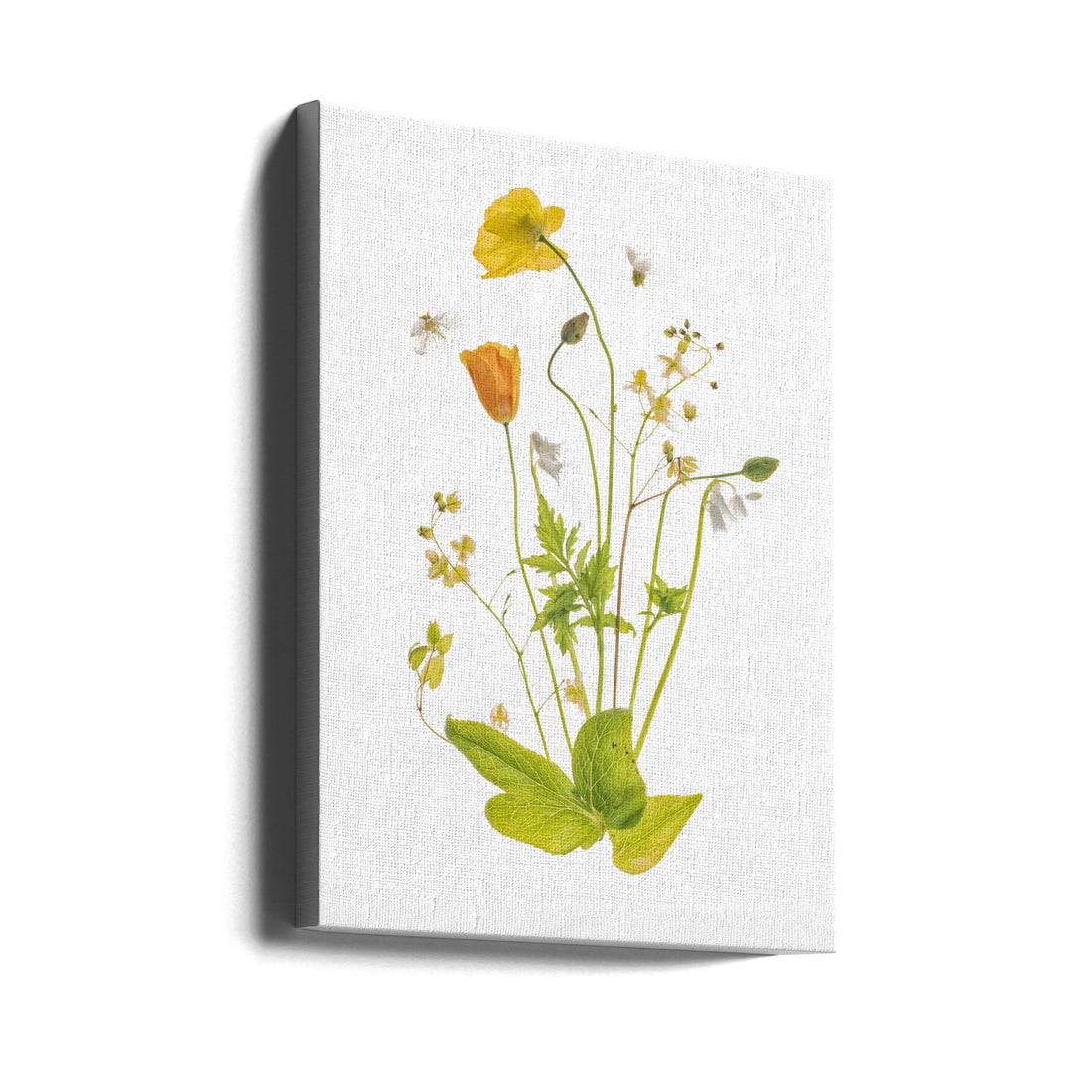 Fairy Garden by Sharon Williams | Botanical Floral Macro, Large Canvas Wall Art Print | Artsy Earth