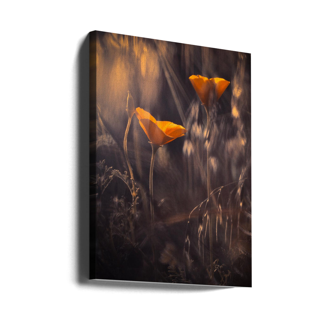 The Enchanted Secret Garden by Fabien Bravin | Botanical Garden Flowers, Large Canvas Wall Art Print | Artsy Earth