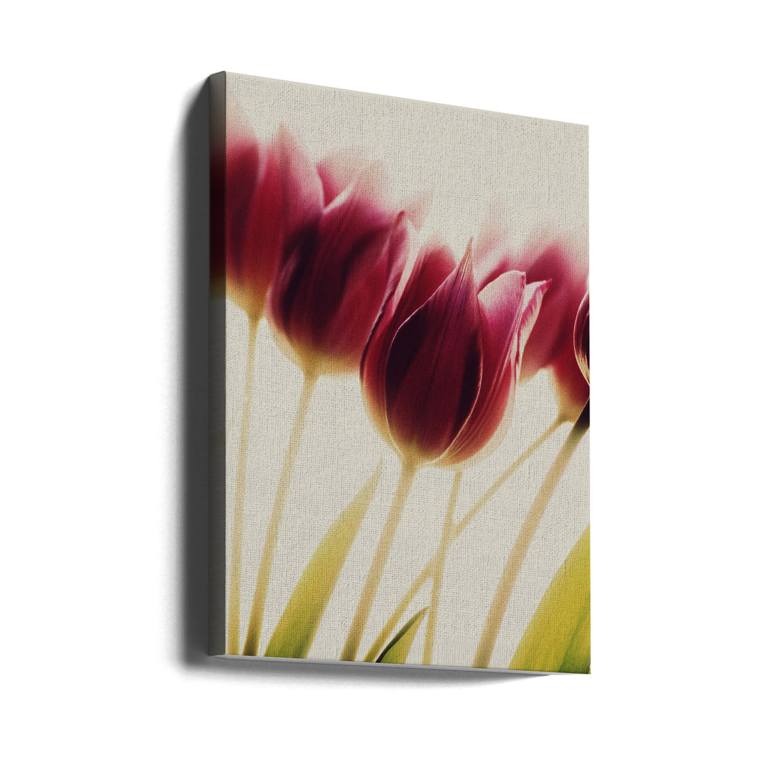 Romantic Tulips by Rosalinde Philippin-lipscomb | Floral Botanical Macro, Large Canvas Wall Art Print | Artsy Earth