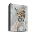 Lynx portrait in the fog by Santiago Pascual Buye | Wild Feline Animal, Large Canvas Wall Art Print | Artsy Earth