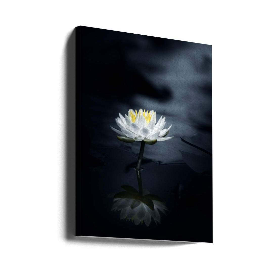 Water Lily Reflection by Takashi Suzuki | Serene Floral Macro, Large Canvas Wall Art Print | Artsy Earth