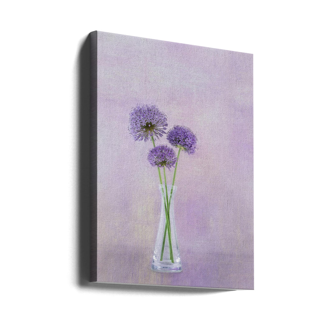 3 Allium by Gaille Gray | Purple Floral Botanical, Large Canvas Wall Art Print | Artsy Earth