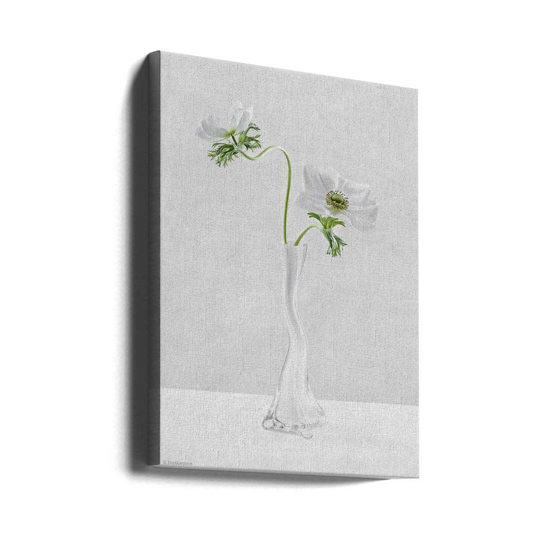 High Key Anemones by Inna Karpova | Floral Still Life, Large Canvas Wall Art Print | Artsy Earth