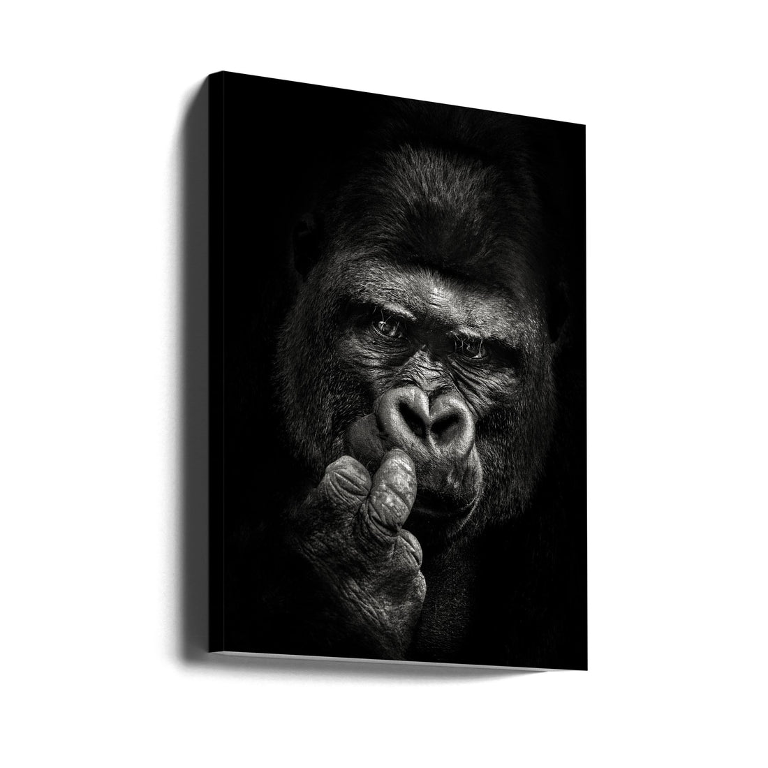 Gorilla Attitude by Christian Meermann | Primate Portrait Monochrome, Large Canvas Wall Art Print | Artsy Earth