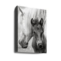 The Foal by Jacky Parker | Young Horse Protection, Large Canvas Wall Art Print | Artsy Earth