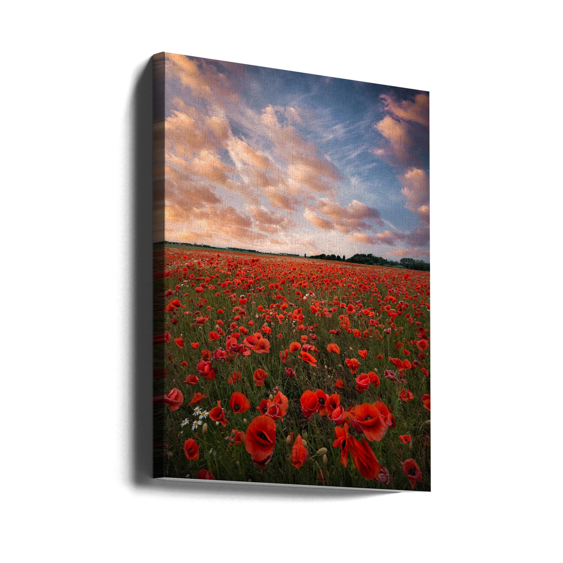 Poppy Field in Sweden by Christian Lindsten | Red Floral Landscape, Large Canvas Wall Art Print | Artsy Earth