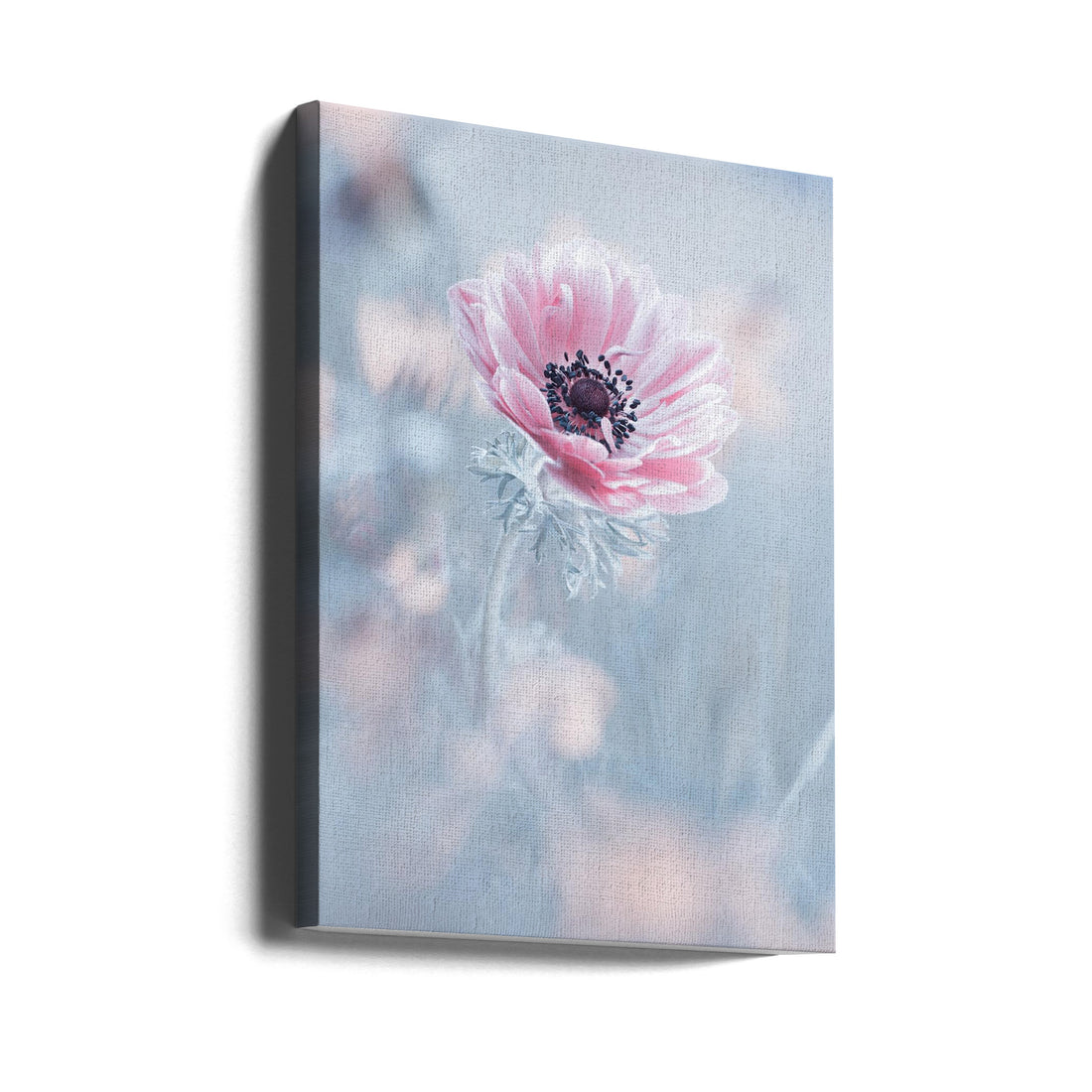 Pink Floral Macro by Fabien Bravin | High Key Botanical, Large Canvas Wall Art Print | Artsy Earth