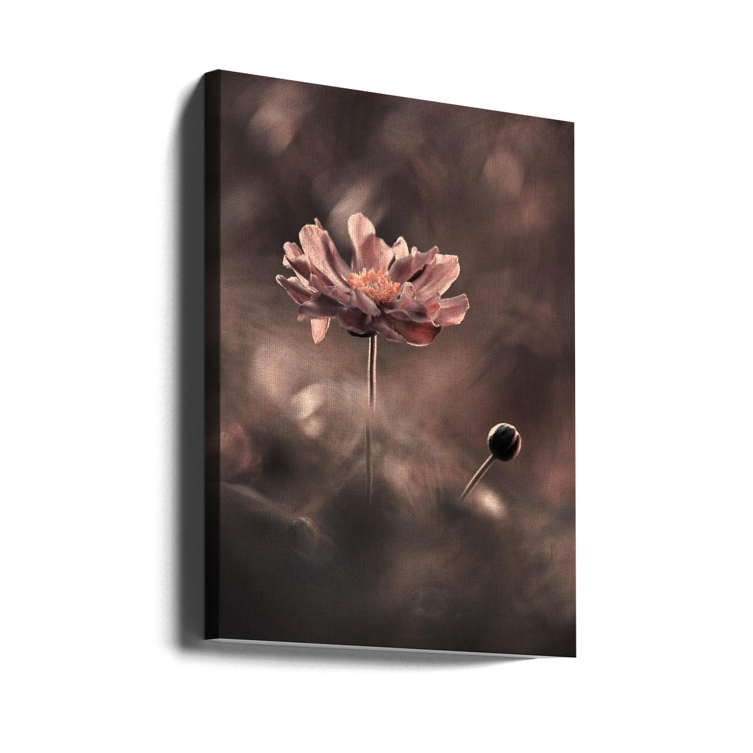 Floral Close-up by Fabien Bravin | Botanical Garden Bloom, Large Canvas Wall Art Print | Artsy Earth