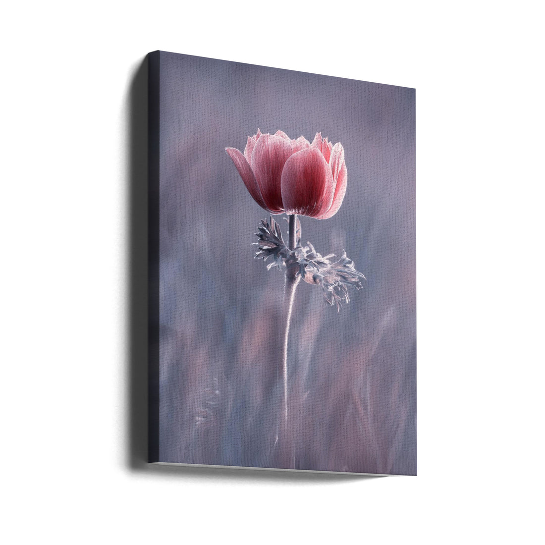 Pink Floral Macro by Fabien Bravin | Romantic Botanical Flora, Large Canvas Wall Art Print | Artsy Earth