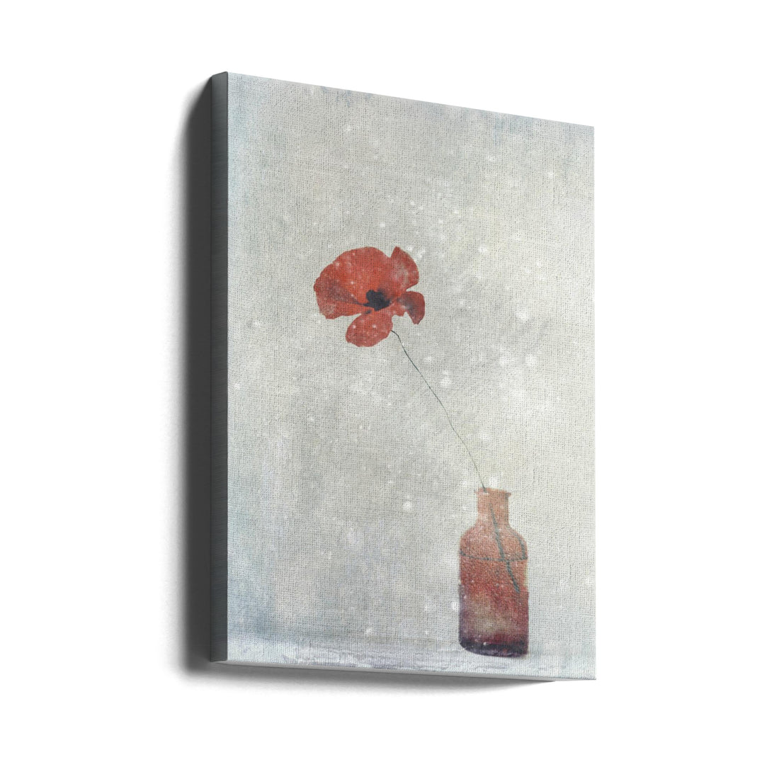 Winter Poppy by Delphine Devos | Floral Botanical Winter, Large Canvas Wall Art Print | Artsy Earth