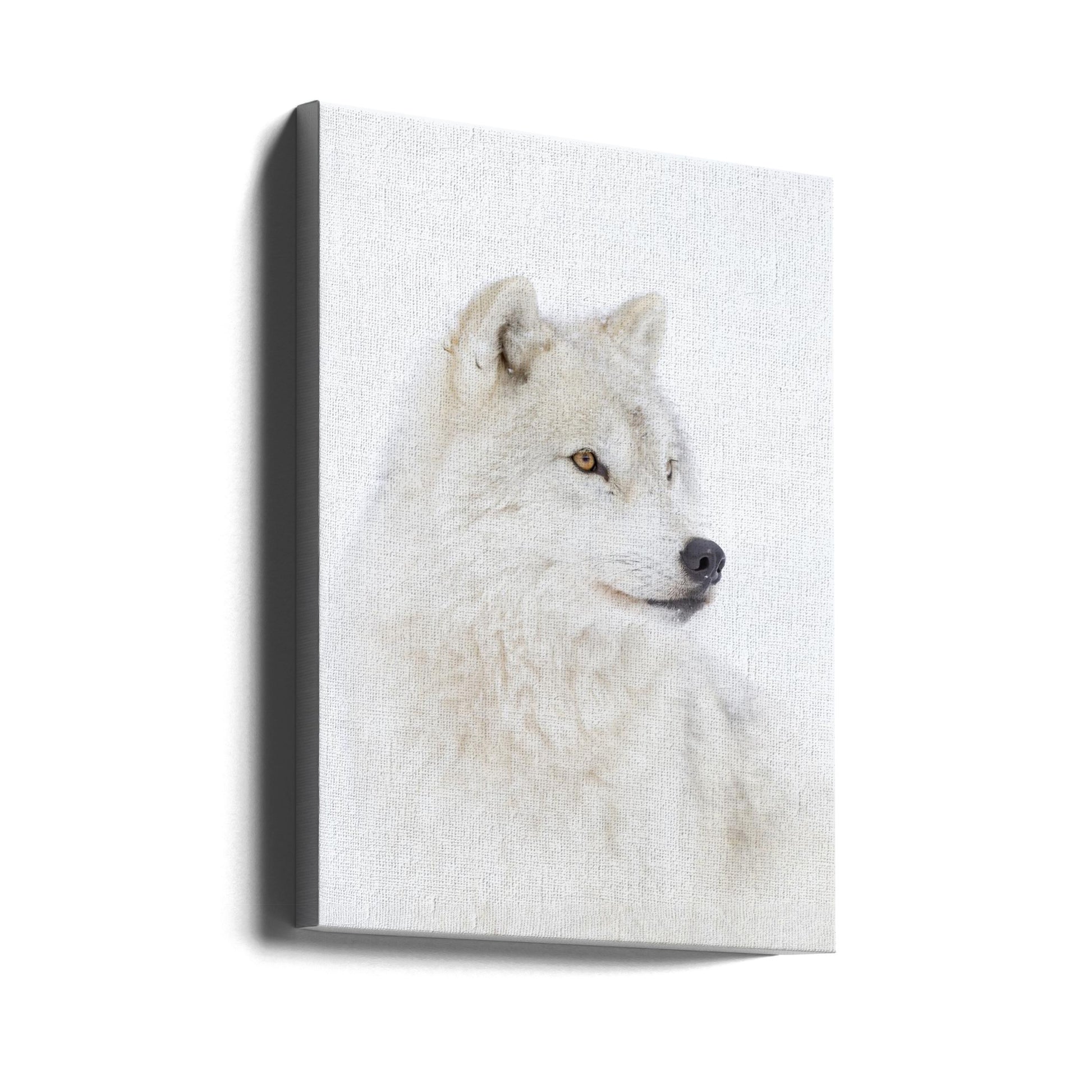 Arctic Wolf Portrait by Jim Cumming | Wildlife Nature, Large Canvas Wall Art Print | Artsy Earth