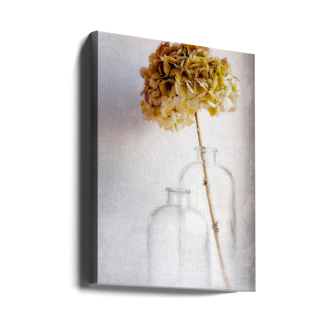 Hydrangea Still Life by Blaise Montfort | Botanical Floral Still Life, Large Canvas Wall Art Print | Artsy Earth