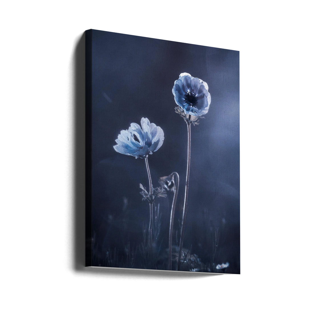 Outside Garden Flora by Fabien Bravin | Floral Botanical Macro, Large Canvas Wall Art Print | Artsy Earth