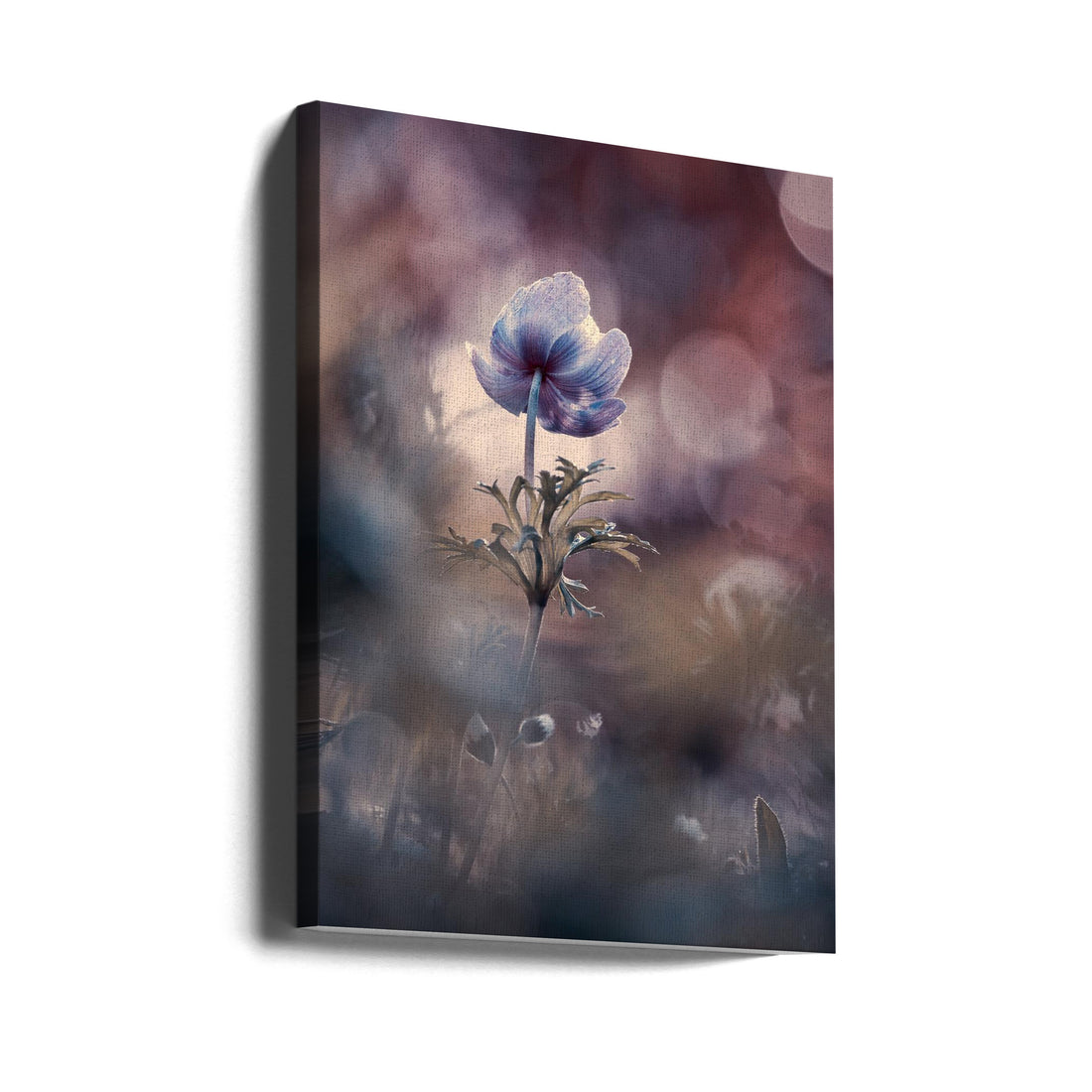 A Brighter Future by Fabien Bravin | Floral Botanical Macro, Large Canvas Wall Art Print | Artsy Earth