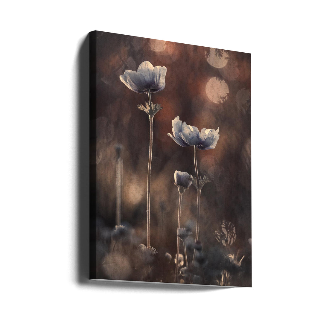 Floral Macro Ensemble by Fabien Bravin | Botanical Garden Close-up, Large Canvas Wall Art Print | Artsy Earth