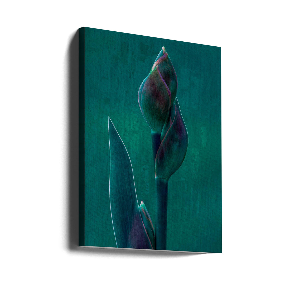 Teal Iris Macro by Chris Hamilton | Botanical Flora Abstract, Large Canvas Wall Art Print | Artsy Earth