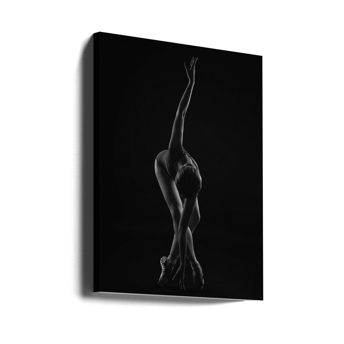 Graceful Ballet Pose by Alexandr | Ballerina Performance Elegance, Large Canvas Wall Art Print | Artsy Earth