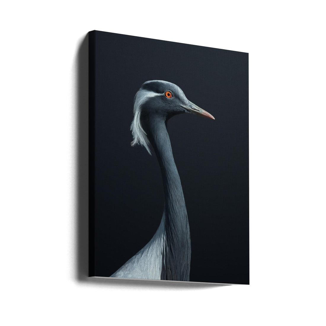 La Demoiselle by Fegari | Elegant Bird Portrait, Large Canvas Wall Art Print | Artsy Earth