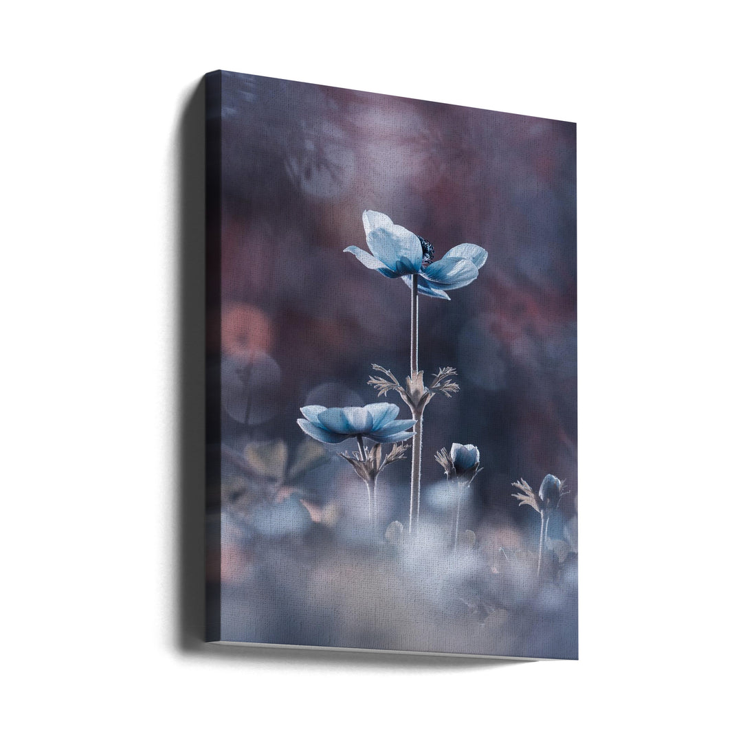 The beginning of a new era by Fabien Bravin | Macro Floral Bokeh, Large Canvas Wall Art Print | Artsy Earth