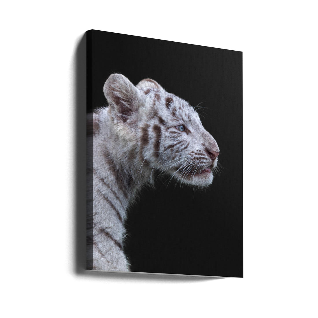 The Hunter by Fegari | Tiger Portrait Profile, Large Canvas Wall Art Print | Artsy Earth